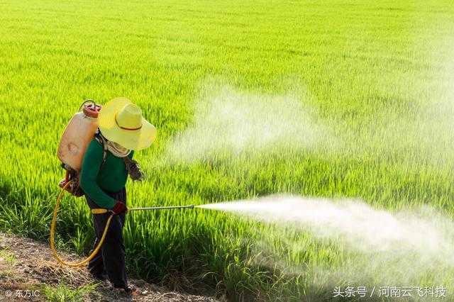 Làmpades solars insecticides i pesticides entre si, qui és millor?